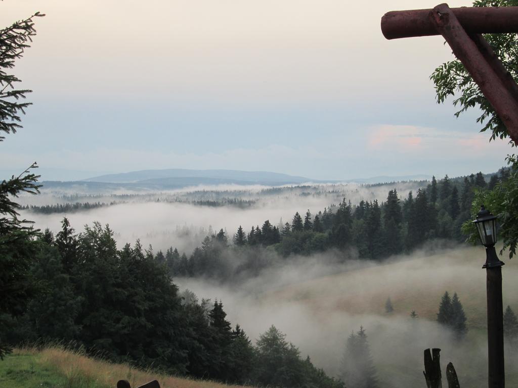Zbójnicka Ośrodek wypoczynkowy Zieleniec (Klodzko)