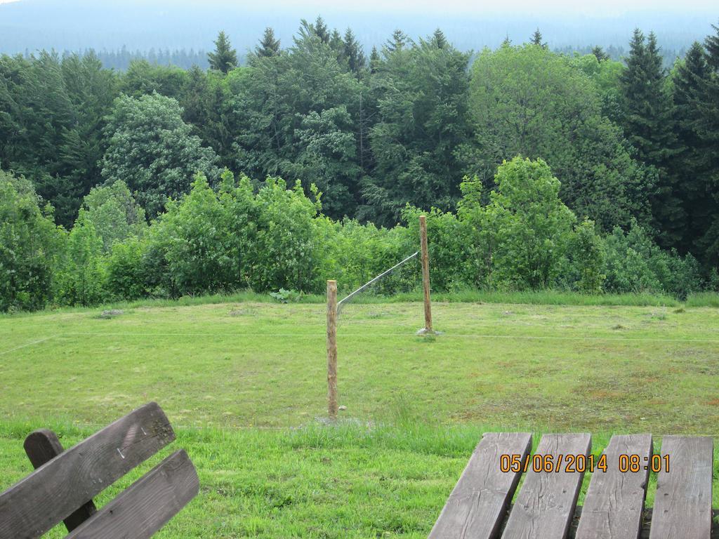 Zbójnicka * Zieleniec (Klodzko)